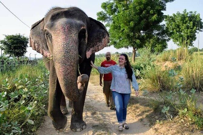 Private Elephant Sanctuary - Choosing the right timing: morning hours and weather expectations