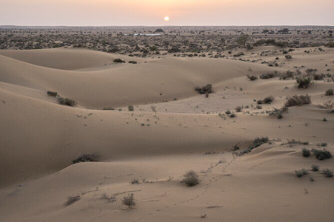 Private Family Tour in Jaisalmer - Key things I’d mark as the best parts