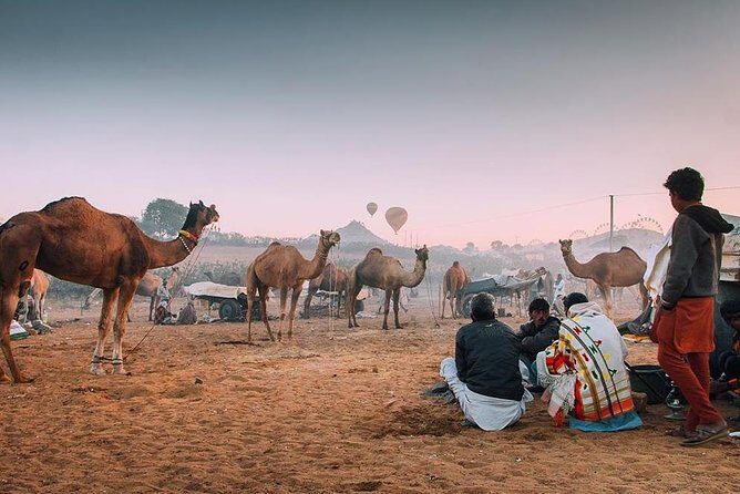 Private Full Day Jaipur Sightseeing Tour By Tuk-Tuk (Rickshaw) - Price and value: $17.97 per group, plus what to budget
