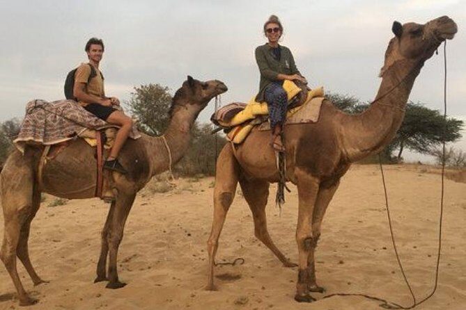 Private Full-Day Jodhpur City Tour and Desert Safari - Mehrangarh Fort touring time you can actually use (2 to 3 hours)