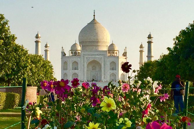 Private Indian Traditional tour of Taj Mahal - Lunch in an air-conditioned multi-cuisine restaurant