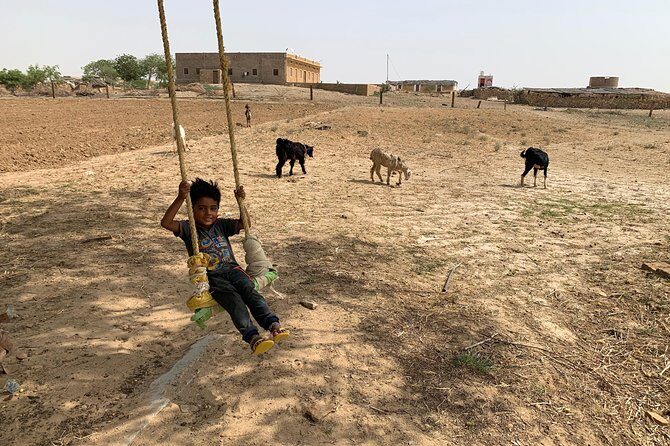 Private Jaisalmer Rural Farm Tour - Picking Bair, Kair, Sangri From Trees