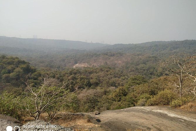 Private Kanheri- Buddhist Cave Tour - How the 2-Hour Cave Visit Works (and What to Expect)