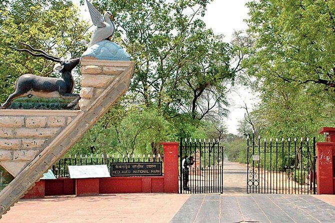 Private Keoladeo National Park Tour sightseeing - All Inclusive - Agra pickup and round-trip transfers: save time, avoid logistics headaches