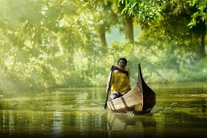 Private Kerala Backwater Houseboat Day Cruise with Lunch from Cochin - Value check: is $165 per person a smart spend?