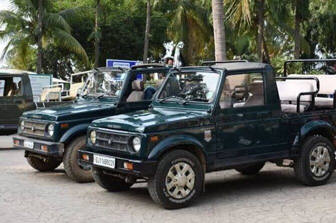 Private Lion Safari in the Gir National Park in Gujarat - When the Lion Reserve Is Closed: Plan Dec–Mar or Miss It