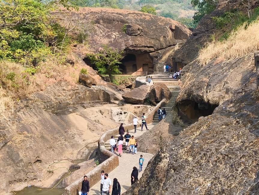 "Private Mumbai Kanheri Caves Tour : A Buddhist Settlement" - Wildlife in Sanjay Gandhi National Park: what might appear, and how to handle it