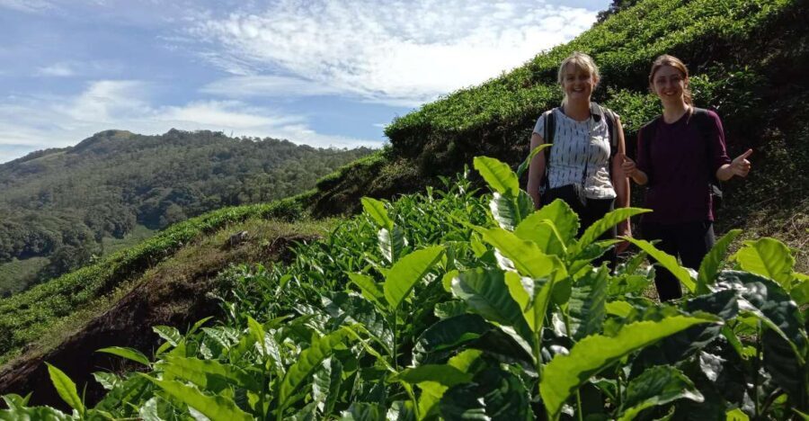 Private Munnar Tea Trek - Key things that make this Munnar tea trek a smart choice