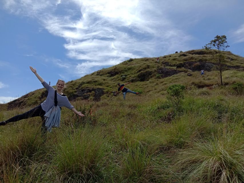Private Munnar Tea Trek - Munnar tea at dusk: why the timing feels special