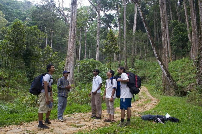Private Munnar Tea Trek - Lakshmi Hills views with birds and wildlife breaks