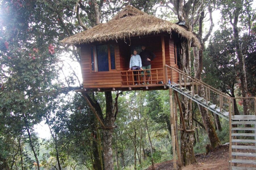 Private Munnar Tea Trek - How the guided tour works, and why the pace matters
