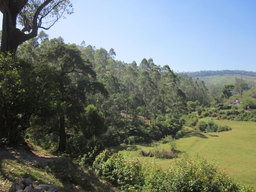 Private Munnar Tea Trek - Price and supplies: is $14 a good deal