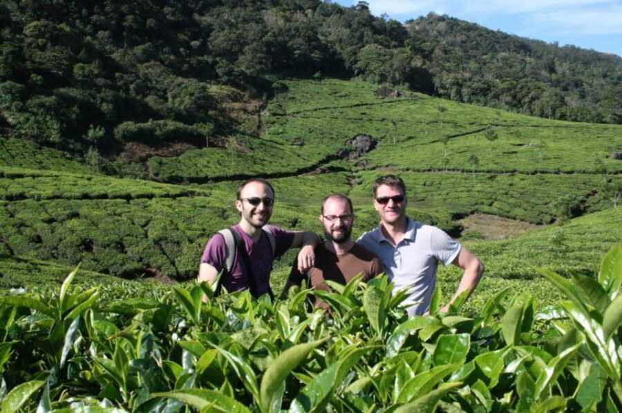 Private Munnar Tea Trek - From KSRTC Depot to the tea estate: getting your bearings