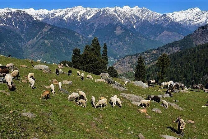 Private One Day Hiking Trip in Manali, Scenic Mountain Trail in Manali - The pacing advantage: private guide support (including Pawan)