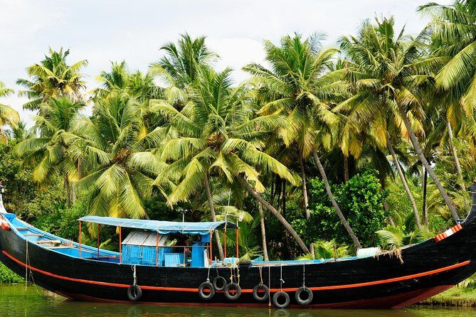 Private Overnight Alleppey Houseboat Cruise from Kochi - Getting There: 9:00 AM Kochi Pickup and a Real Small-Group Plan