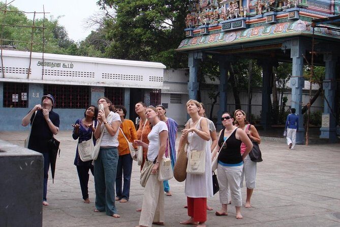 Private Peacock Trail Walking Tour in Mylapore - Mylapore’s neighborhood walk: old village energy in city streets