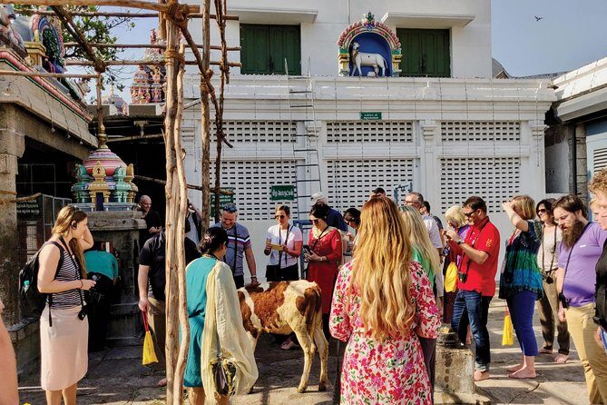 Private Peacock Trail Walking Tour in Mylapore - Kapaleeshwarar Temple: rituals you can actually understand