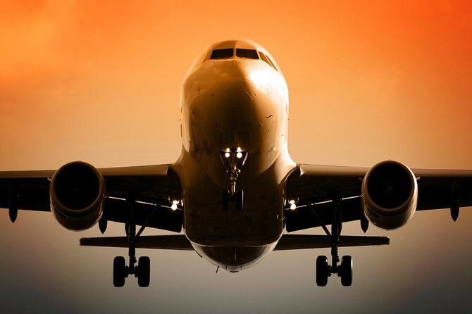 Private Round-Trip Transfer in Delhi with Optional VIP Assistance - Arrival game plan: meet past customs, then straight to your hotel