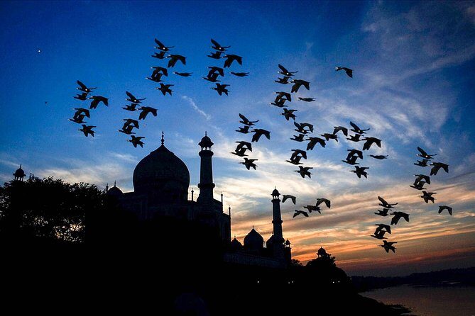 Private same day Taj Mahal tour from Banglore - Agra Fort: The history stop that doesn’t feel like a detour