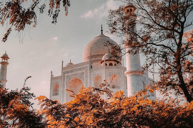 Private Same Day Tour To Taj Mahal From Delhi By Car - Guide and driver: what private service should feel like