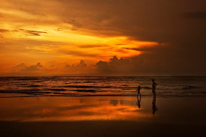 Private South Goa City Tour with Spice Plantation and Lunch from North Goa Hotel - The Scenic Pause: Dense Forest and Ocean Backdrop