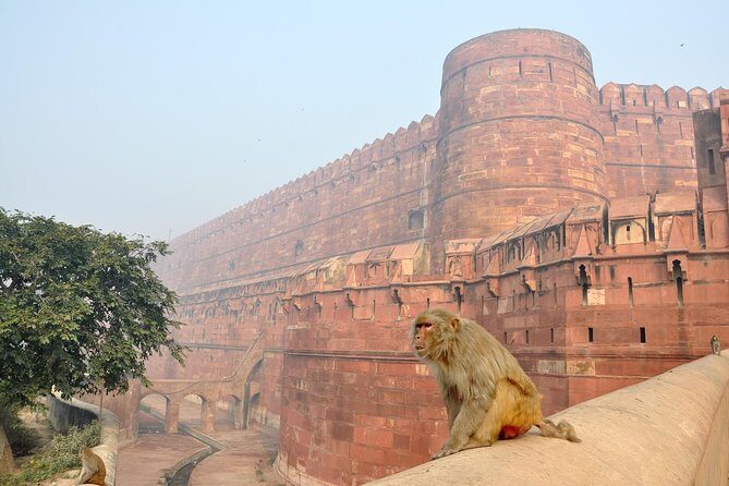 Private Taj Mahal & Agra Tour by Express Train From - Delhi - Private car with a chauffeur: why it matters between monuments
