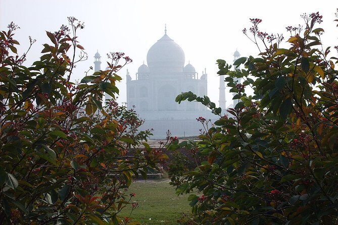 Private Taj Mahal from Delhi to Agra By Car - Mehtab Bagh: a quieter Taj moment, if your schedule allows it