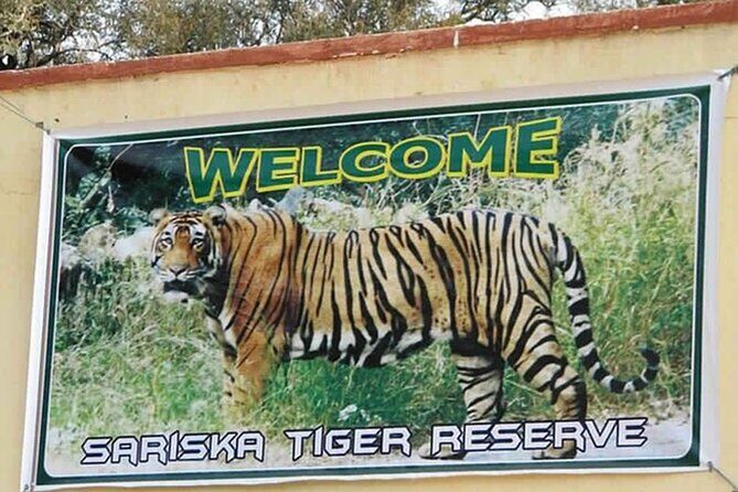 Private Tour from Delhi to Sariska Safari and Jaipur (1N/2D) - From Delhi to Sariska: what the door-to-door drive really buys you