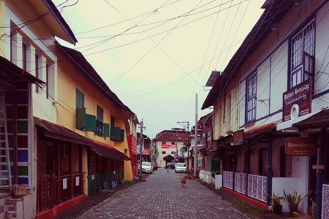 Private Tour : Glimpse of Kochi - The guide experience: what makes or breaks a short shore tour