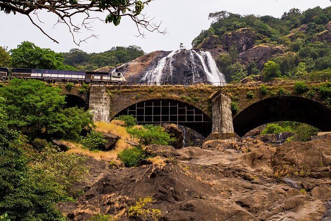 Private Tour to Goa and Dudhsagar Waterfalls with Lunch - Mollem National Park Jeep Safari: The best first move