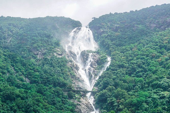 Private Tour to Goa and Dudhsagar Waterfalls with Lunch - Price and logistics: Is $131 good value?