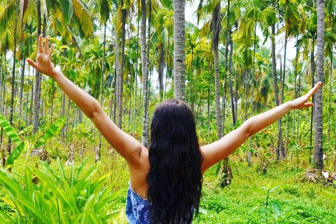 Private Tour to Goa and Dudhsagar Waterfalls with Lunch - Who should book this private tour (and who should rethink)