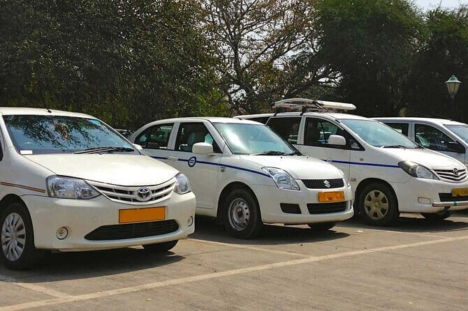 Private Transfer From Agra to Ranthambore With Fatehpur Sikri - Timing tips for Ranthambore safari days