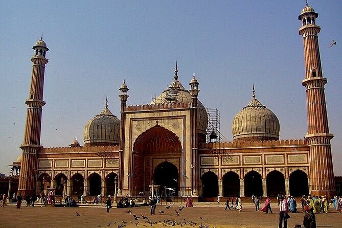 Private Transfer From New Delhi Airport /Hotel to Agra - Stops, Water, and the Ride Details That Actually Matter