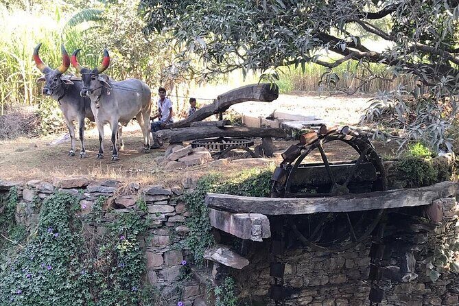 Private Udaipur Village Tour by Tuk-Tuk or by Car - Ubeshwar Mahadev Temple: A Quiet Pause with a Holy Pond