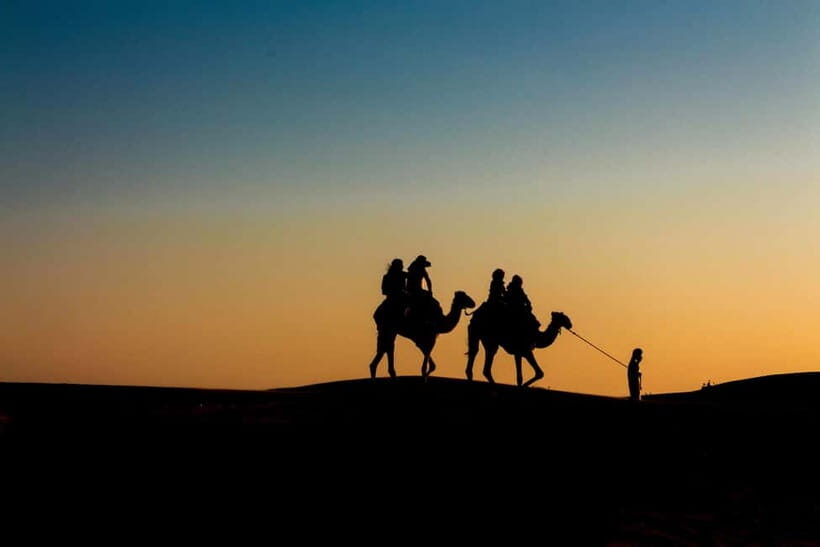 Pushkar: Camel Sunset Safari Adventure - Key points before you go