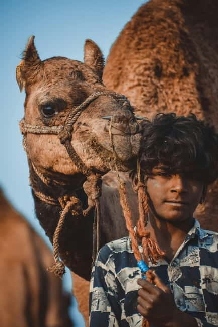 Pushkar: Camel Sunset Safari Adventure - Pushkar in context: why this route feels special