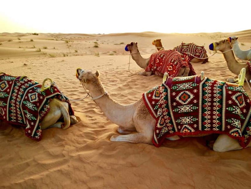 Pushkar: Camel Sunset Safari Adventure - First stop: getting picked up around Pushkar Main Market