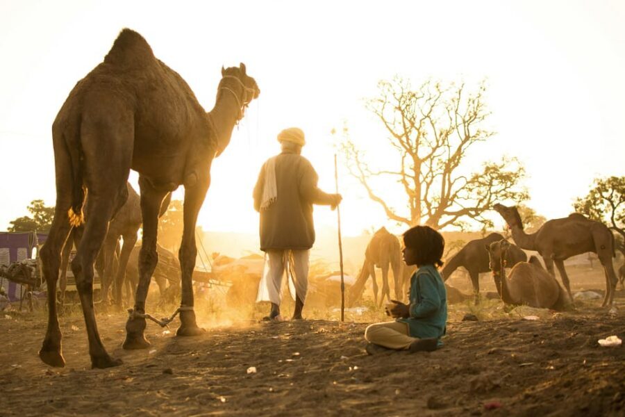 Pushkar: Camel Sunset Safari Adventure - The sweet spot: guided photo stops and sightseeing