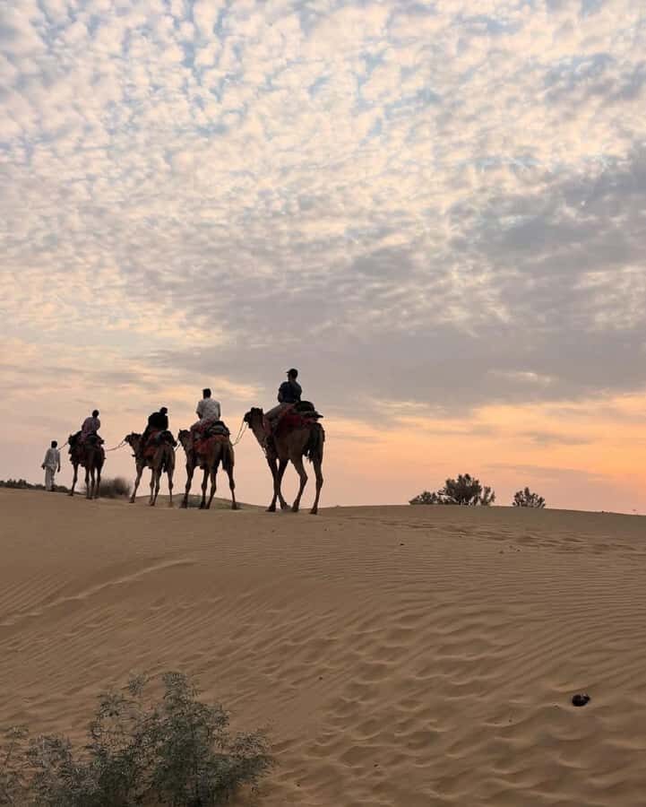 Quiet & Peaceful Night At Luxury Desert Camp - Key Highlights You’ll Care About
