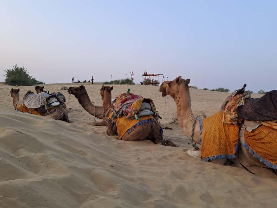 Quiet & Peaceful Night At Luxury Desert Camp - Who Should Book This Desert Rose Camel Safari Night