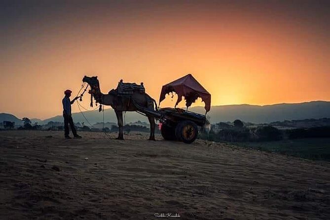 Rajasthan Heritage Tour - What you’re really buying: 16 days, big sights, and a private rhythm