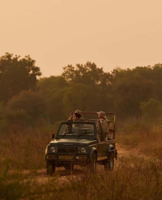 Ranthambhore: Ranthambhore Tiger Reserve Booking - The Fort Factor: Why Ranthambore Fort Adds Real Value