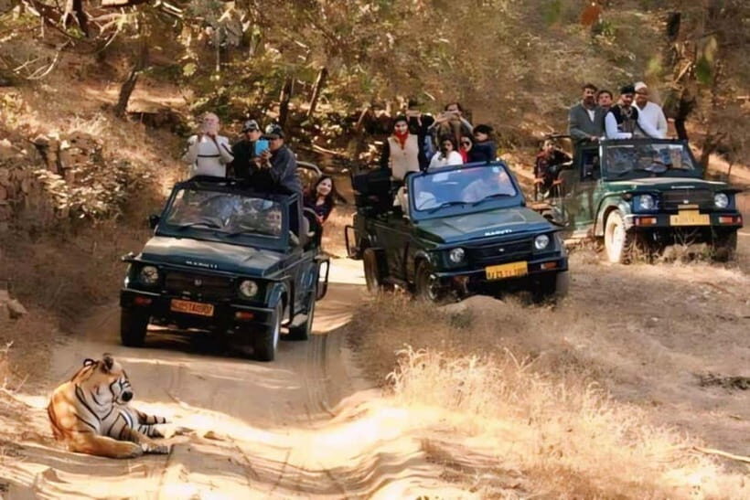 Ranthambhore: Ranthambhore Tiger Reserve Booking - Price and Comfort: Is About $62 Good Value?