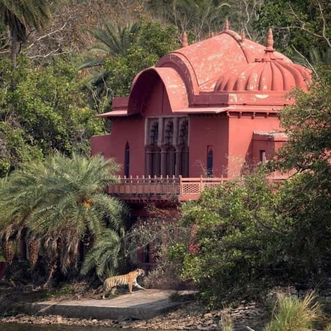Ranthambhore: Ranthambhore Tiger Reserve Booking - Ranthambore National Park by Jeep: Seeing More Than One Type of Animal