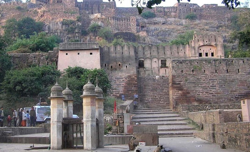 Ranthambore: Guided Safari Tour by Canter or Jeep - Canter vs gypsy: choosing the right ride for comfort and value
