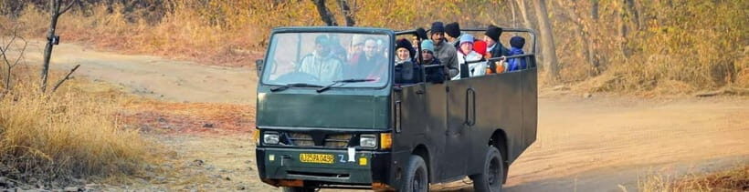 Ranthambore National Park: Safari Ticket with Pickup Option - Photography and binoculars: your best “equipment” for Ranthambore