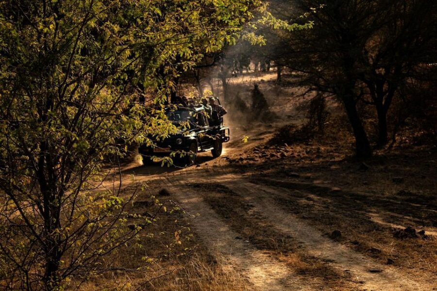 Ranthambore safari by Canter ( 20 seater bus) - Comfort, Rules, and the Big-Group Trade-Off