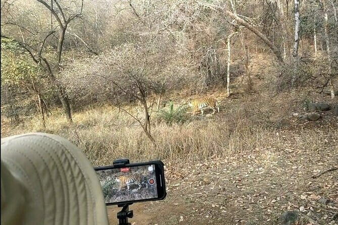 Ranthambore - Sharing Tiger Safari In Canter Or Gypsy Vehicle - The Guide Experience: How a Pro Changes What You See