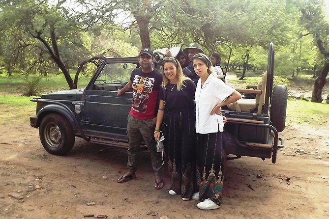 Ranthambore Tiger Safari Day trip from Jaipur - All Inclusive - Price and What You’re Really Paying For at $43.51
